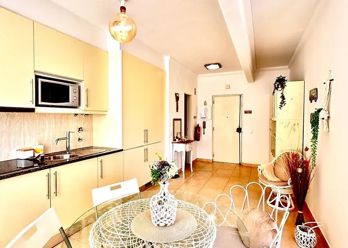 T1 Na 1 Linha Da Da Rocha